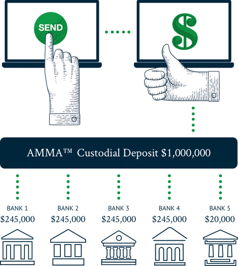 How it works - Send fund to AMMA account - for example, custodial deposit of $1million - split between 5 banks at $245,000, $245,000, $245,000, $245,000, $20,000